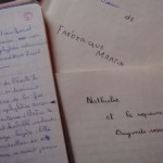 Premier roman - copyright F.Martin