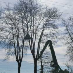 Lire la suite à propos de l’article NO MACADAM ! Grand rassemblement des 22 et 23 avril dans le Tarn